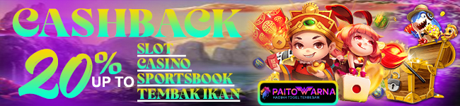 PAITOWARNA Bonus Cashback up to 20%